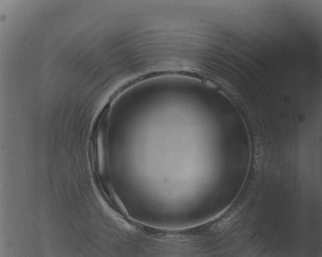 X0000053090942200507181715