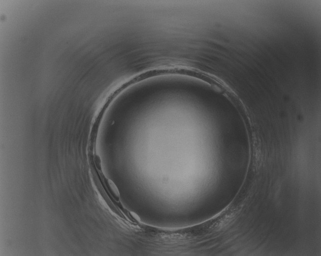 X0000053090943200507181715