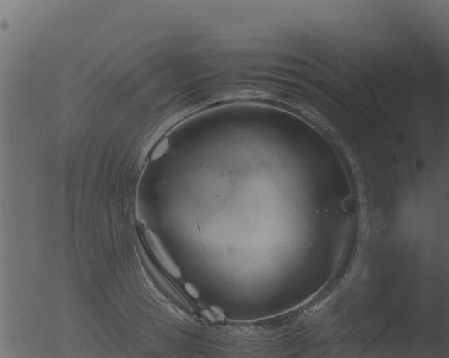 X0000053090945200507181715