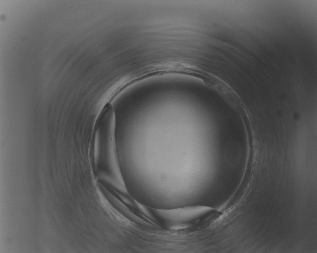 X0000053090946200507181715