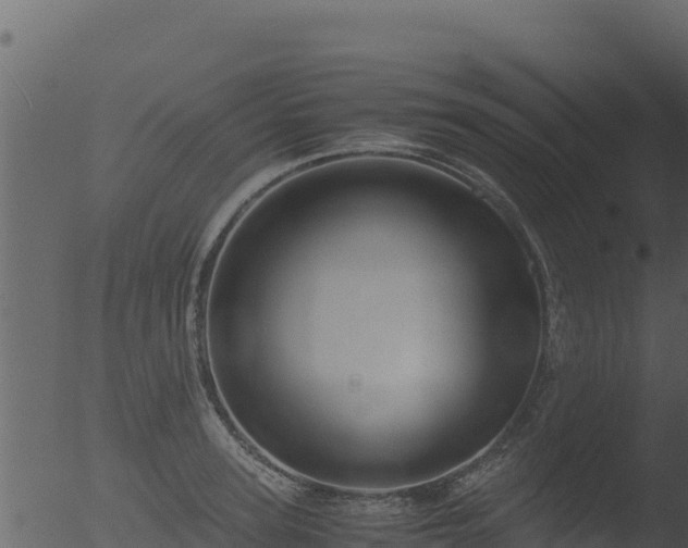 X0000053090947200507181715