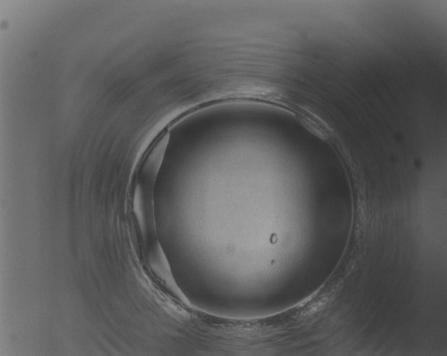 X0000053090948200507181715