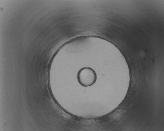 X0000053090950200507181715