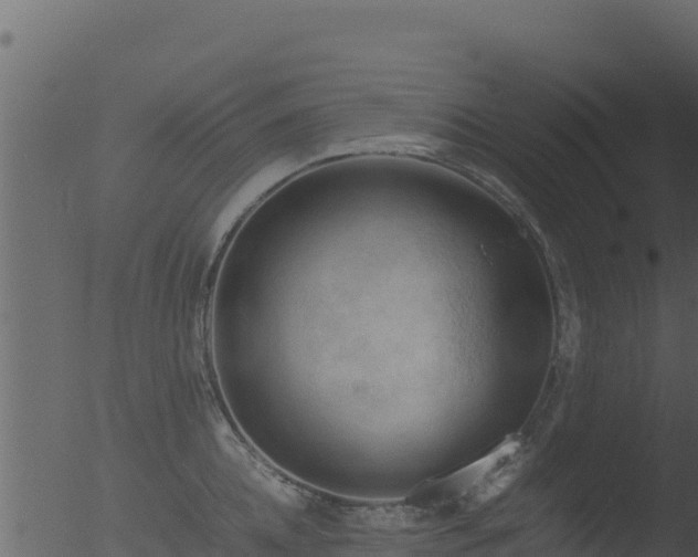 X0000053090952200507181715