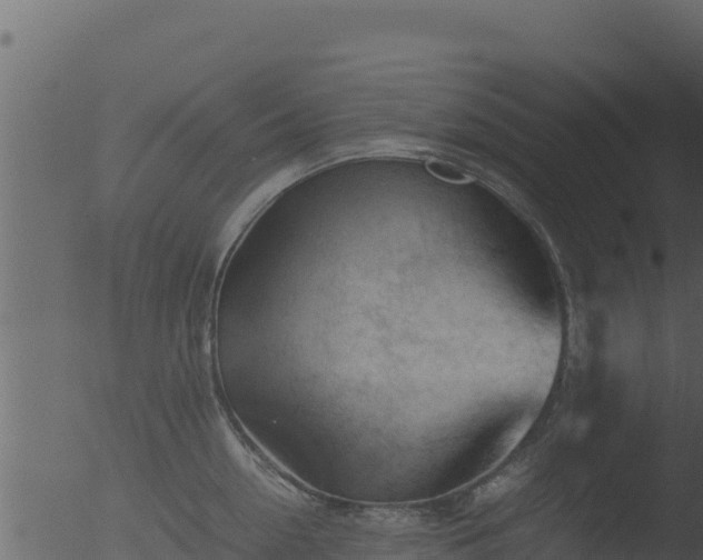 X0000053090954200507181715