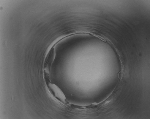 X0000053090955200507181715