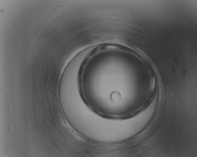 X0000053090956200507181715