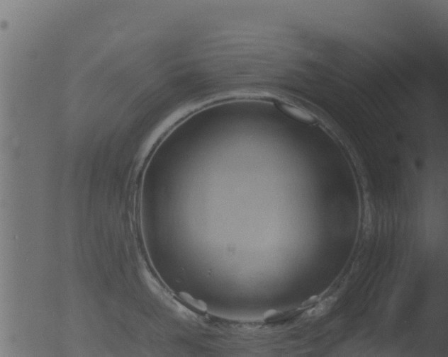 X0000053090958200507181715