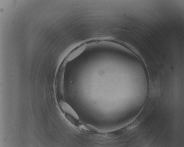 X0000053090959200507181715