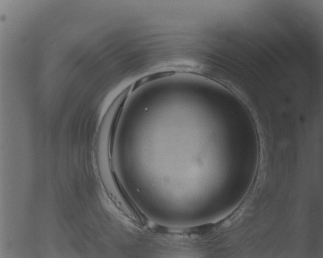 X0000053090960200507181715