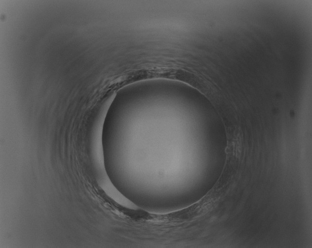 X0000053090961200507181714