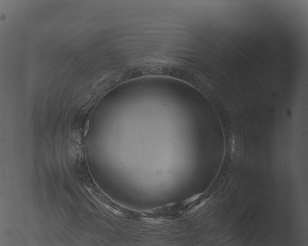 X0000053090964200507181714