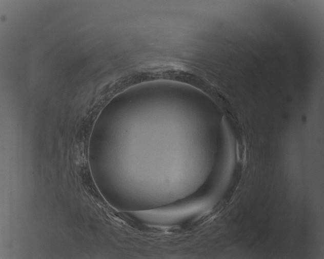 X0000053090965200507181714