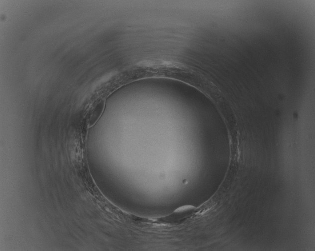 X0000053090966200507181714