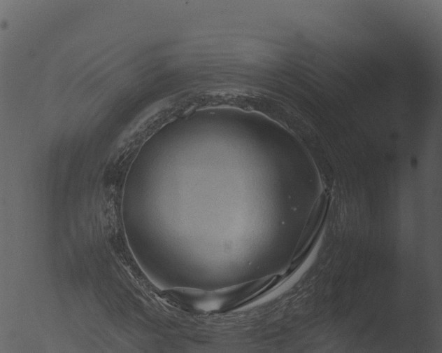 X0000053090968200507181714