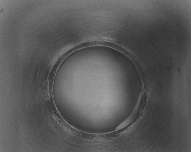 X0000053090974200507181714