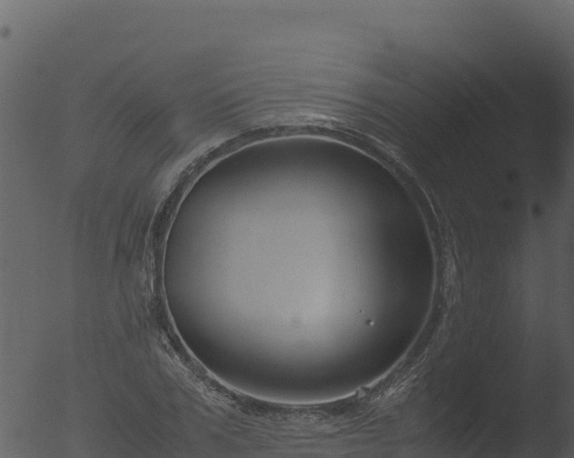 X0000053090979200507181714