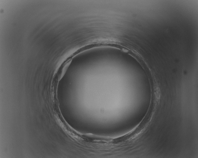 X0000053090981200507181714