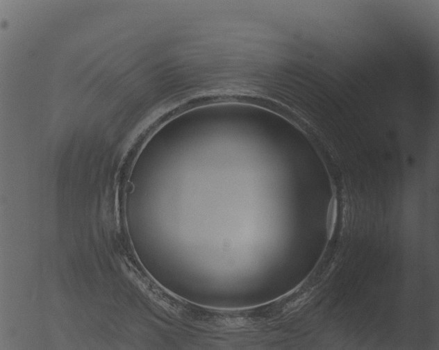 X0000053090982200507181714