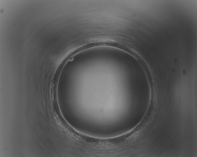 X0000053090983200507181714