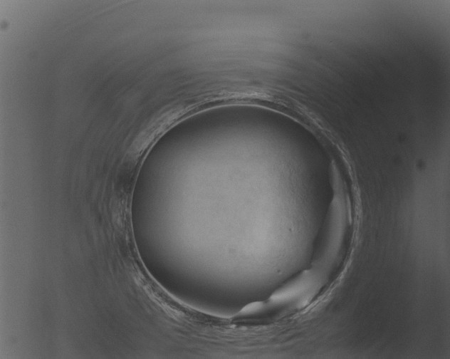 X0000053090985200507181714