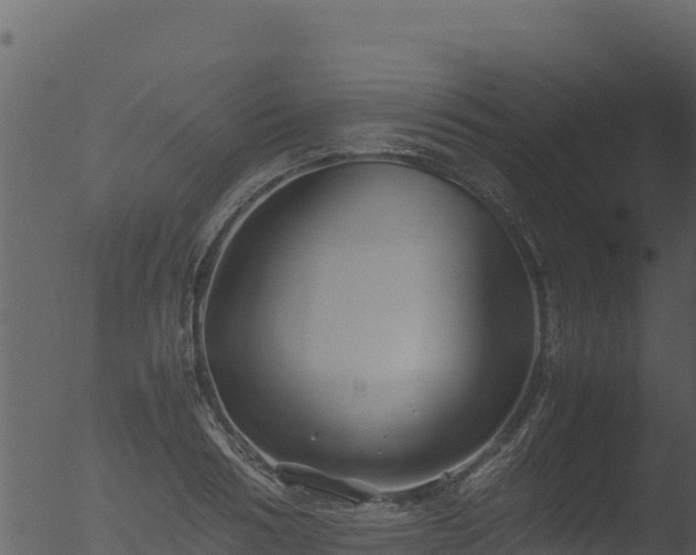 X0000053090986200507181714