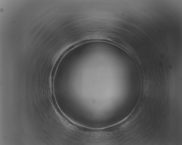 X0000053090988200507181714