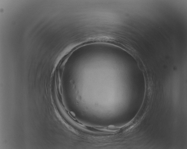 X0000053090989200507181714