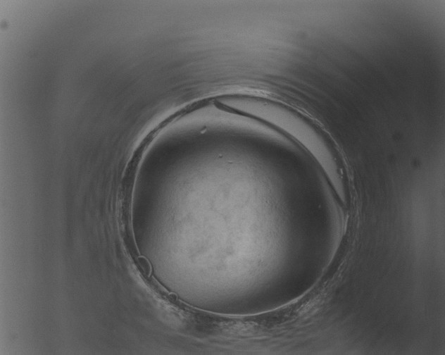 X0000053090991200507181714