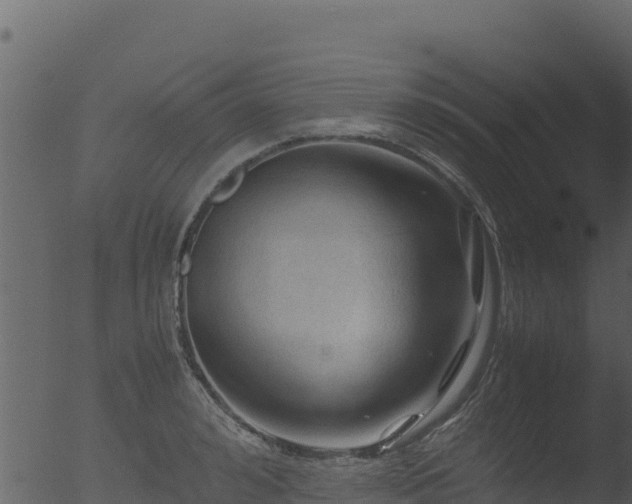 X0000053090992200507181714