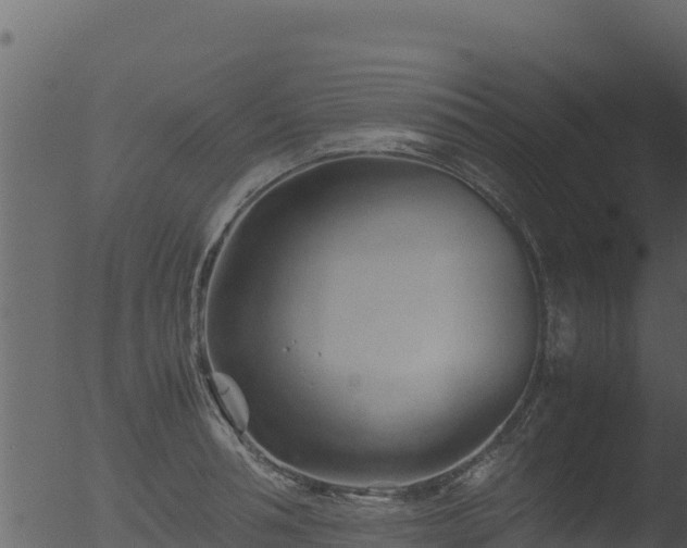 X0000053090994200507181714