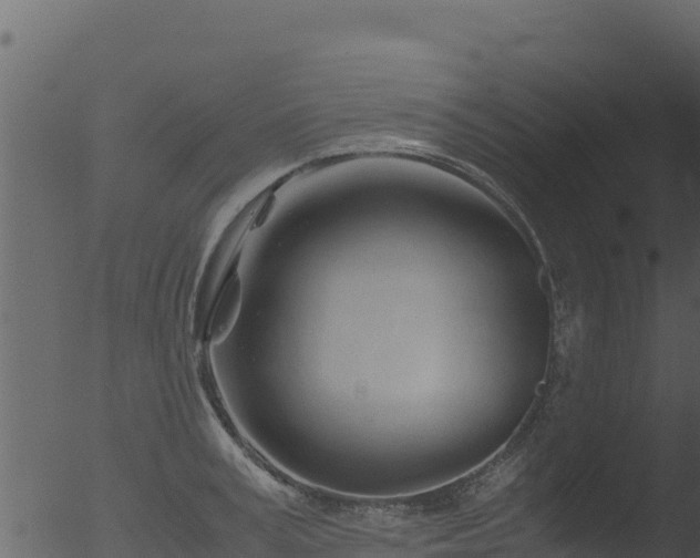 X0000053090995200507181714