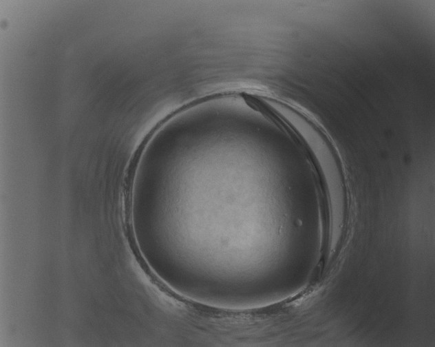 X0000053090999200507181714