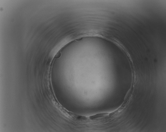 X0000053091002200507181714