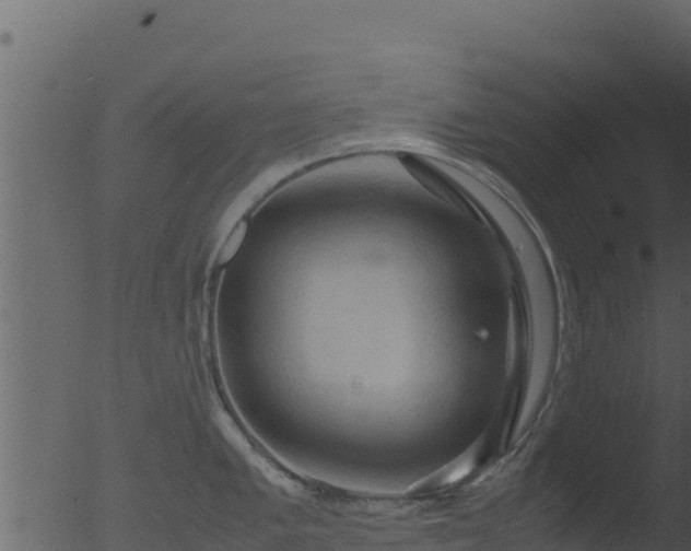 X0000053091005200507181714