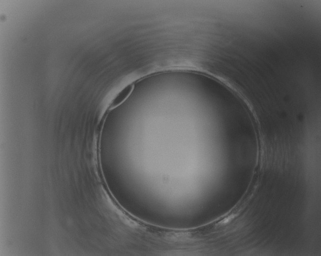 X0000053091006200507181714