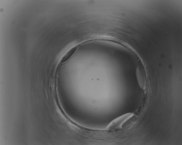 X0000053091007200507181714