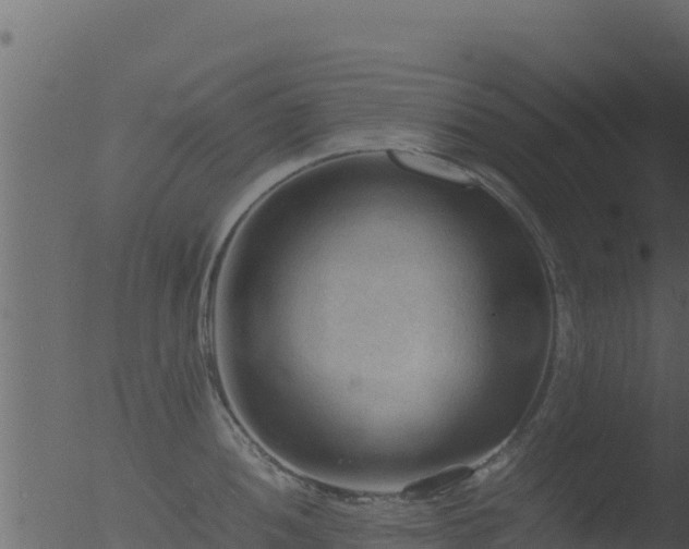 X0000053091052200507181714