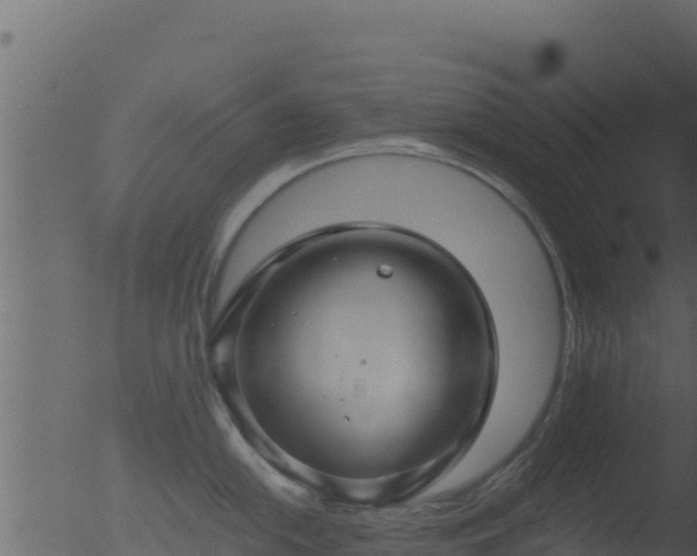 X0000053091054200507181714