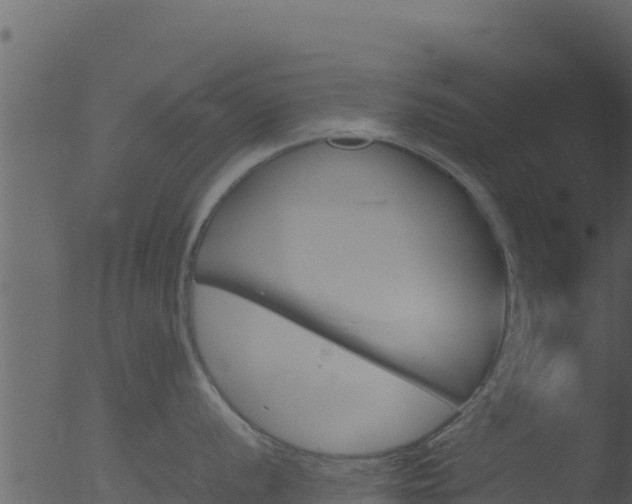 X0000053091056200507181714