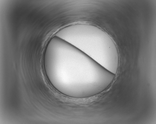 X0000053090001200507251617