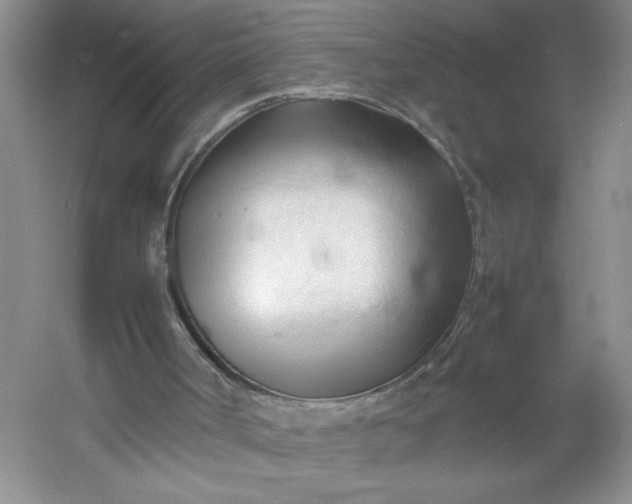 X0000053090002200507251617