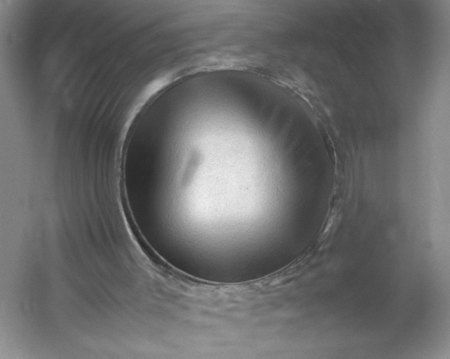 X0000053090003200507251617