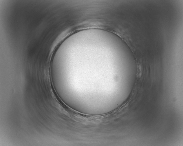 X0000053090004200507251617