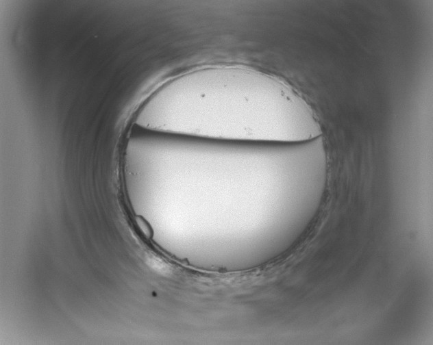 X0000053090005200507251617