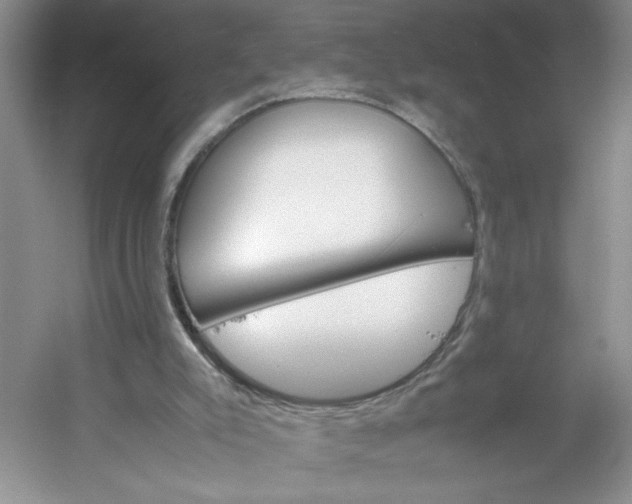 X0000053090007200507251617