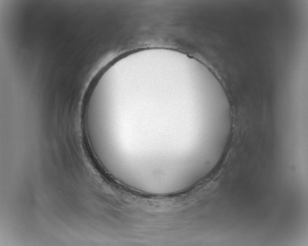 X0000053090008200507251617