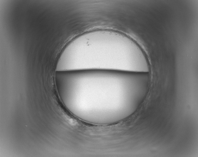 X0000053090009200507251617