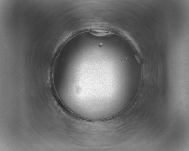 X0000053090010200507251617