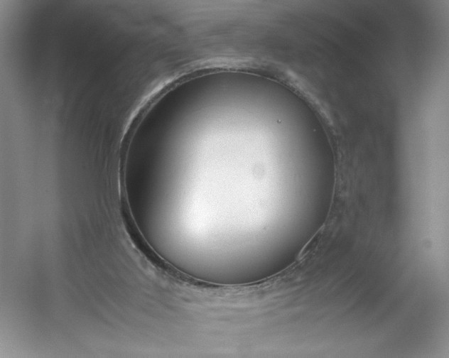 X0000053090011200507251617